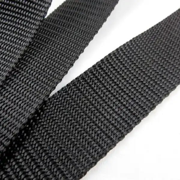 Ceinture web