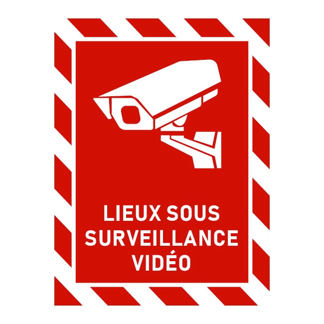 Lieux sous surveillance vidéo