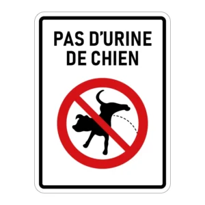 Pas d'urine de chien
