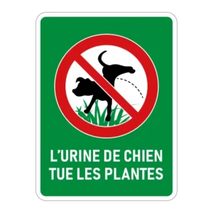 L'urine tue les plantes